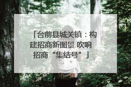 台前县城关镇：构建招商新图景 吹响招商“集结号”