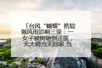 台风“蝴蝶”携较强风雨影响三亚：一女子被树砸倒送医，无大碍当天回家 当地已紧急清障