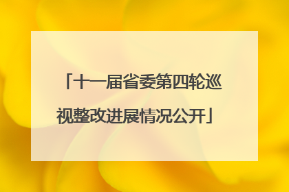 十一届省委第四轮巡视整改进展情况公开