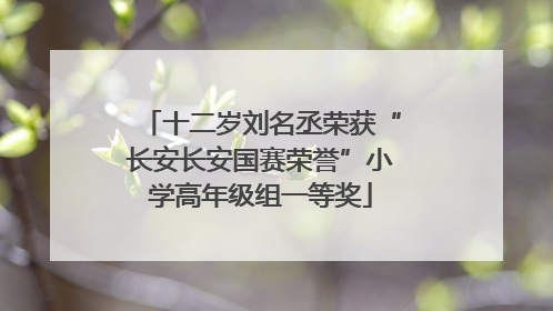 十二岁刘名丞荣获“长安长安国赛荣誉”小学高年级组一等奖