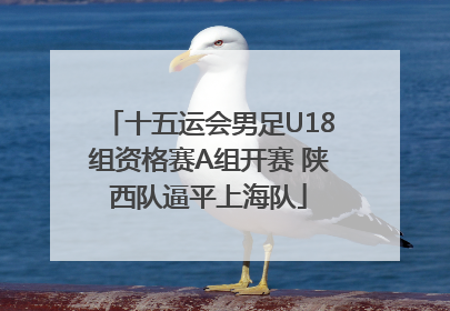 十五运会男足U18组资格赛A组开赛 陕西队逼平上海队