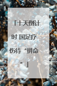 十天倒计时 国足疗伤待“拼命”