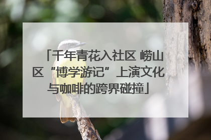千年青花入社区 崂山区“博学游记”上演文化与咖啡的跨界碰撞
