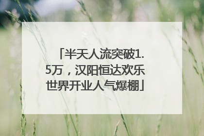半天人流突破1.5万，汉阳恒达欢乐世界开业人气爆棚