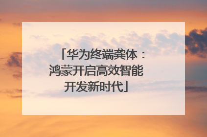 华为终端龚体：鸿蒙开启高效智能开发新时代
