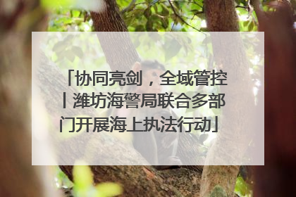 协同亮剑，全域管控丨潍坊海警局联合多部门开展海上执法行动