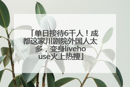 单日接待6千人！成都这家川剧院外国人太多，变身livehouse火上热搜