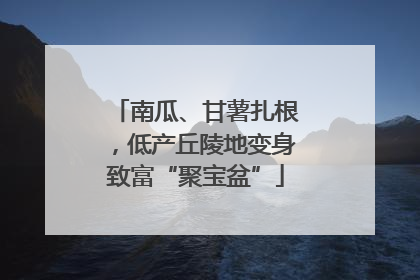 南瓜、甘薯扎根，低产丘陵地变身致富“聚宝盆”