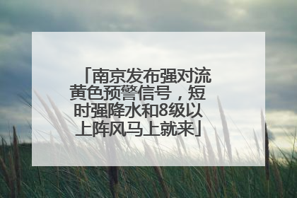 南京发布强对流黄色预警信号，短时强降水和8级以上阵风马上就来