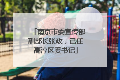 南京市委宣传部副部长张政，已任高淳区委书记