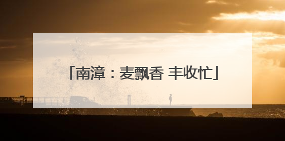南漳：麦飘香 丰收忙