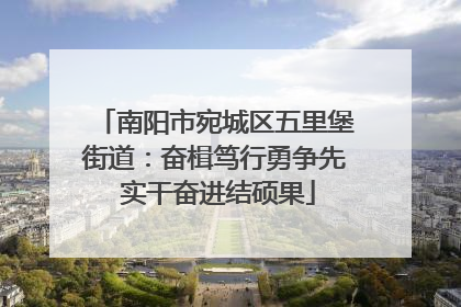 南阳市宛城区五里堡街道：奋楫笃行勇争先 实干奋进结硕果