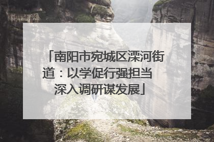 南阳市宛城区溧河街道：以学促行强担当 深入调研谋发展