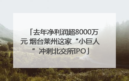 去年净利润超8000万元 烟台莱州这家“小巨人”冲刺北交所IPO