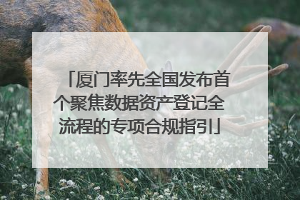 厦门率先全国发布首个聚焦数据资产登记全流程的专项合规指引
