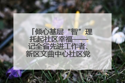 倾心基层“智”理 托起社区幸福——记全省先进工作者、新区文曲中心社区党委书记董世弘