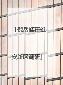 倪岳峰在雄安新区调研