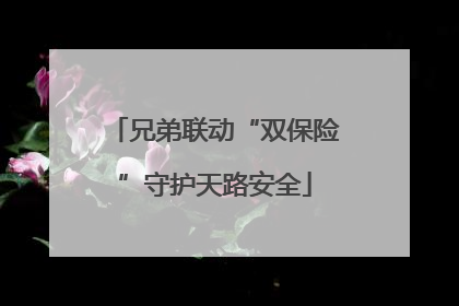 兄弟联动“双保险”守护天路安全