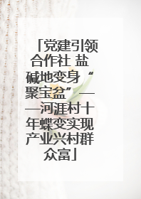 党建引领合作社 盐碱地变身“聚宝盆”——河涯村十年蝶变实现产业兴村群众富