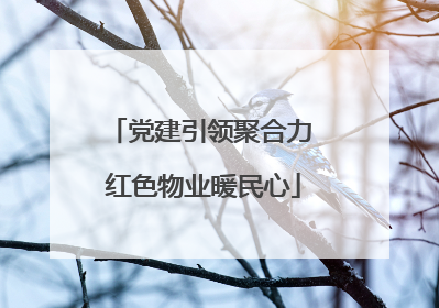 党建引领聚合力 红色物业暖民心