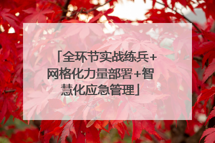 全环节实战练兵+网格化力量部署+智慧化应急管理