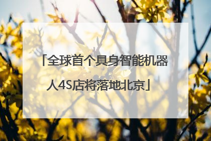 全球首个具身智能机器人4S店将落地北京