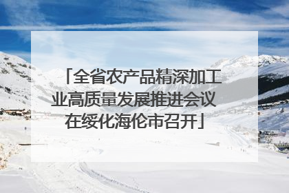 全省农产品精深加工业高质量发展推进会议在绥化海伦市召开