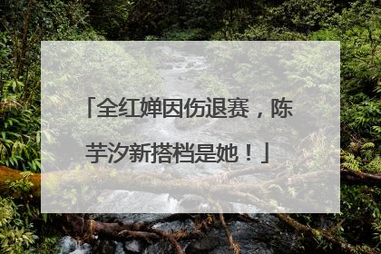 全红婵因伤退赛，陈芋汐新搭档是她！