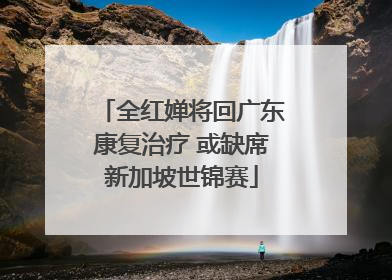 全红婵将回广东康复治疗 或缺席新加坡世锦赛