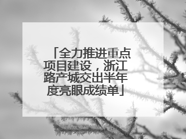 全力推进重点项目建设，浙江路产城交出半年度亮眼成绩单
