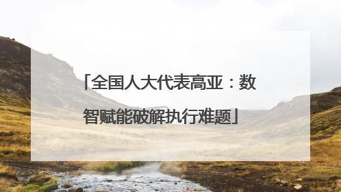 全国人大代表高亚：数智赋能破解执行难题