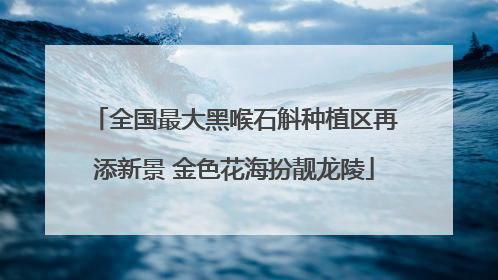 全国最大黑喉石斛种植区再添新景 金色花海扮靓龙陵