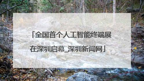 全国首个人工智能终端展在深圳启幕_深圳新闻网