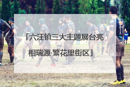 六汪镇三大主题展台亮相瑞源·繁花里街区