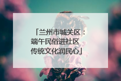 兰州市城关区：端午民俗进社区 传统文化润民心