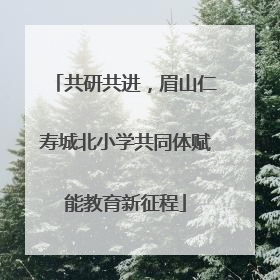 共研共进，眉山仁寿城北小学共同体赋能教育新征程