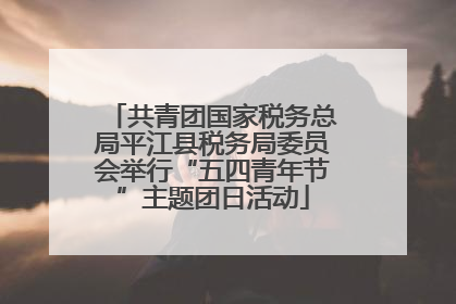 共青团国家税务总局平江县税务局委员会举行“五四青年节”主题团日活动