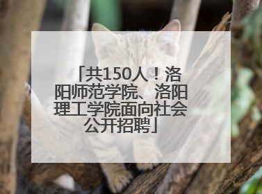 共150人！洛阳师范学院、洛阳理工学院面向社会公开招聘