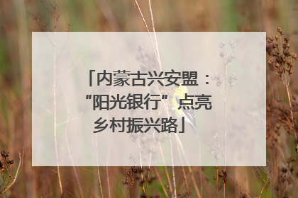 内蒙古兴安盟：“阳光银行”点亮乡村振兴路