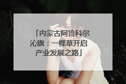 内蒙古阿鲁科尔沁旗：一棵草开启产业发展之路
