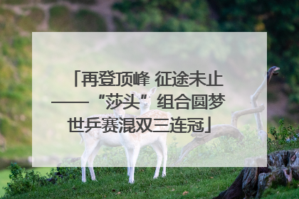 再登顶峰 征途未止——“莎头”组合圆梦世乒赛混双三连冠