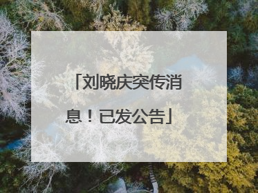 刘晓庆突传消息！已发公告