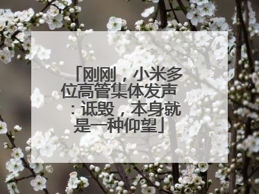 刚刚，小米多位高管集体发声：诋毁，本身就是一种仰望