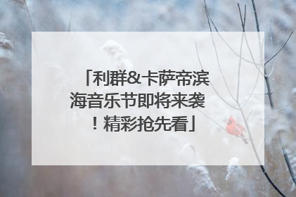 利群&卡萨帝滨海音乐节即将来袭！精彩抢先看