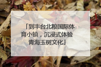 到丰台北粮国际体育小镇，沉浸式体验青海玉树文化