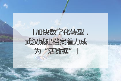 加快数字化转型，武汉城建档案着力成为“活数据”