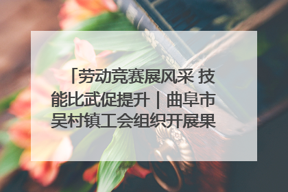 劳动竞赛展风采 技能比武促提升｜曲阜市吴村镇工会组织开展果树套袋技能竞赛