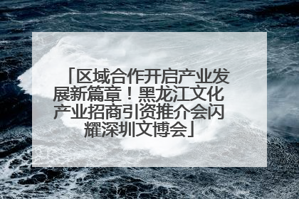 区域合作开启产业发展新篇章！黑龙江文化产业招商引资推介会闪耀深圳文博会