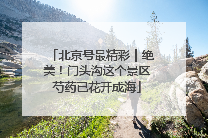 北京号最精彩｜绝美！门头沟这个景区芍药已花开成海
