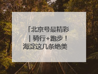 北京号最精彩｜骑行+跑步！海淀这几条绝美路线不容错过